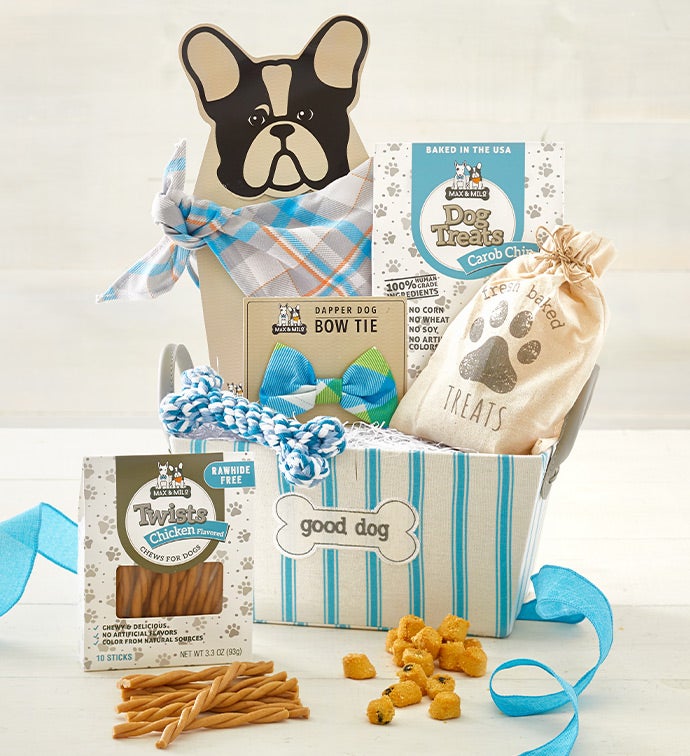 Max & Milo® Good Dog Bin